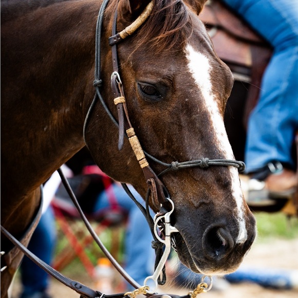 Meet your Posher, Val - Picture 2 of 12